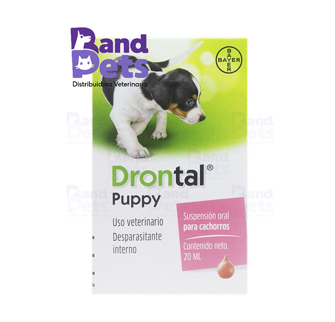 Drontal Puppy