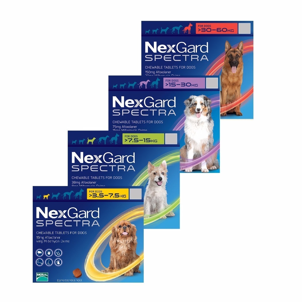 Nexgard Spectra Dog